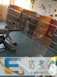 柳南区较好的家庭宠物寄养狗猫干净舒适吃得较好