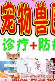 牧鑫宠物兽医、惠民服务社区