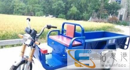 梅州-诚信出售九成新品牌电动三轮车,车况好,质量确保