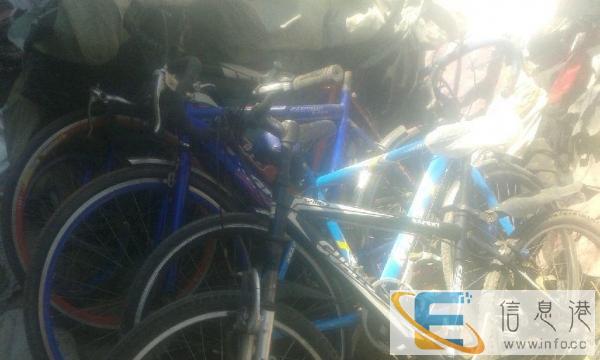 几台公路赛和山地出售 价格每台200