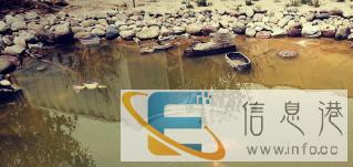 高端专业宠物殡葬/火化/安葬/纪念服务