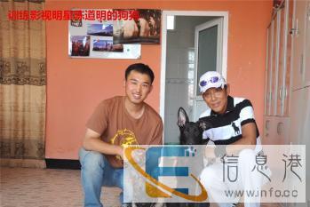 鞍山赵祺宠物训练 寄养学校行为改正才艺学习