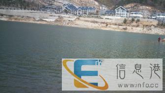 家庭式专业宠物狗狗放心寄养 上门遛狗逗猫