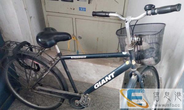 经典城市自行车 捷安特踏骑 Giant Touching