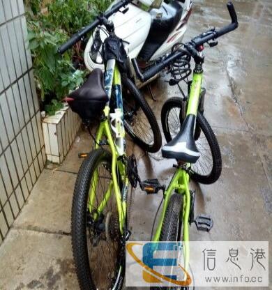 凤凰牌山地车