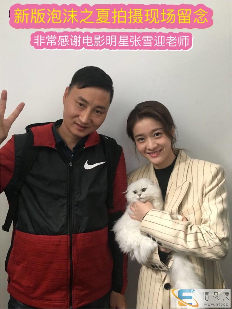 莱芜训犬师学校学习在哪里宠物老师培训基地在哪