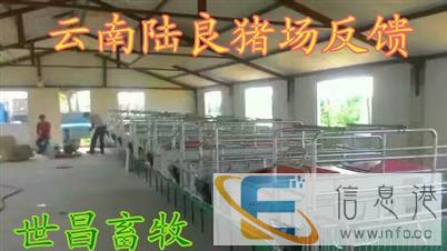 养猪设备母猪分娩产床关两头母猪产床厂家现货出售
