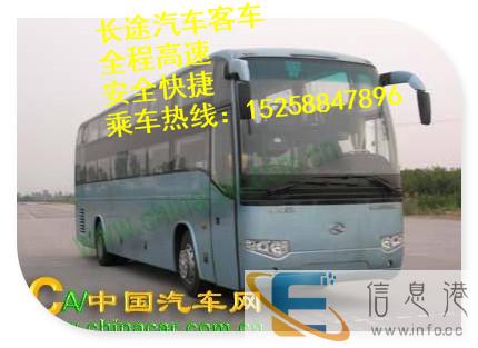 从杭州到漯河宠物托运,顺带零担货物