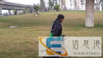 各类犬只训练，行为纠正