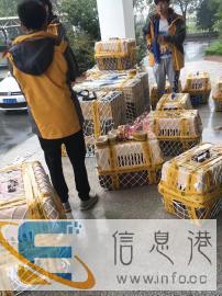 马鞍山宠乐游宠物托运