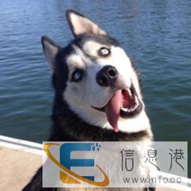 宠物医院价格面议