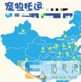 梅州宠物托运猫狗快递上门接宠代办托运手续