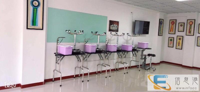 佳木斯宠物森林美容学校,零基础学习,包教包会