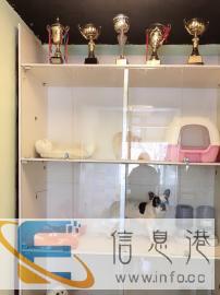 高端宠物寄养美哒宠物