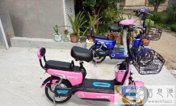 650元常年批发新款电动车电池以旧换新200