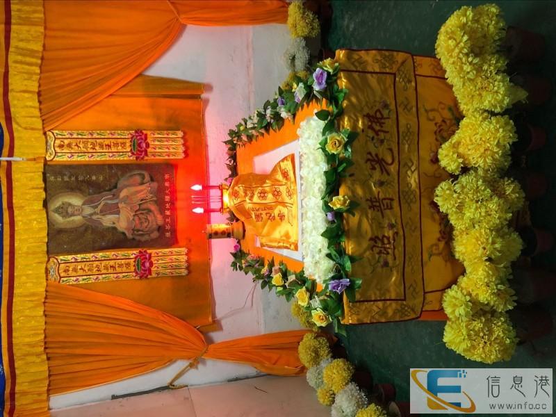 宁波宠物殡葬 狗狗火化 宁波宠物火化 宁波宠物墓地