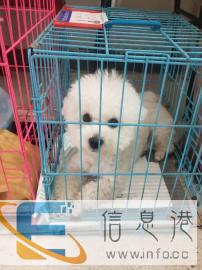 宁波宠物运蓝天路营业部