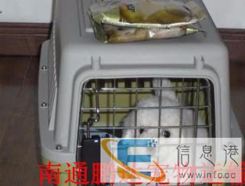 南通宠物托运，空运汽运火车运输上门服务.全市较低价