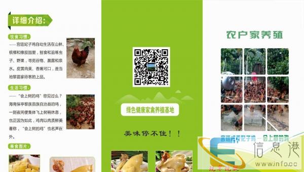 宫廷妃子咸香鸡