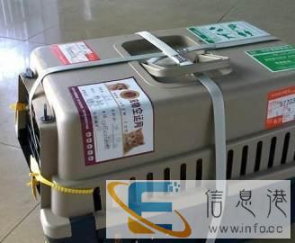 宠物托运，专一，专业，安全