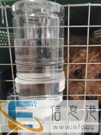 南平宠物托运 全国往返 安全快捷