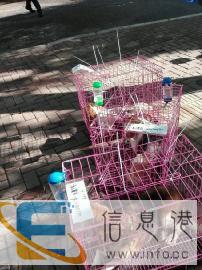 福州佳时宠物托运