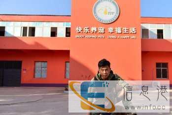 福建宠物训练学校-南平宠物训练方法-派多格寄训中心