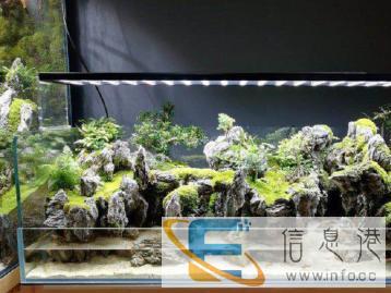 水族景观设计定制服务，价格面议