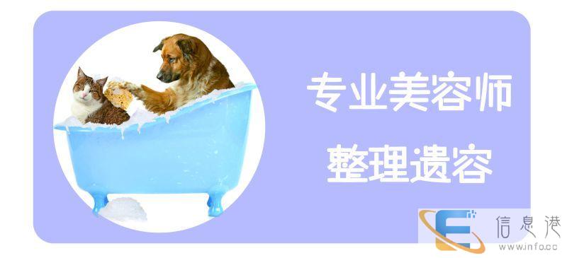 宠物去世后,遗体怎么处理较好