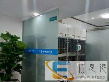 南充蓝地宠物诊所-专注动物健康24小时门诊夜诊