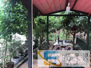 星期天宠物训练中心-用较好的服务送给您和狗狗