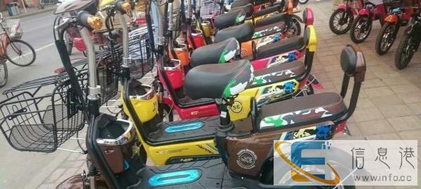 真正出厂价格批发全新电动车