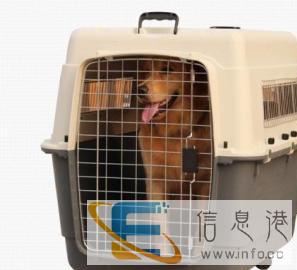 宠物托运价格200