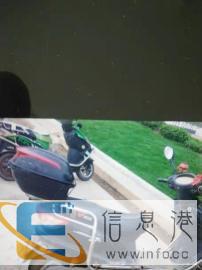 特价骑士，趴赛，小猴子，原装品牌，支持分期，质保三年