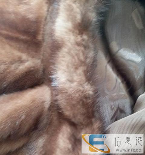 出售女款水貂皮外套