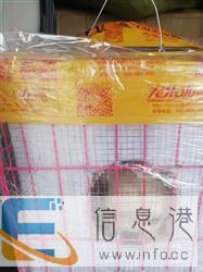 宠乐游　天冷了托运宠物　宠乐游会让你安心　放心