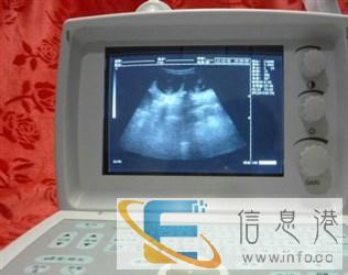 平度爱妮宠物医院