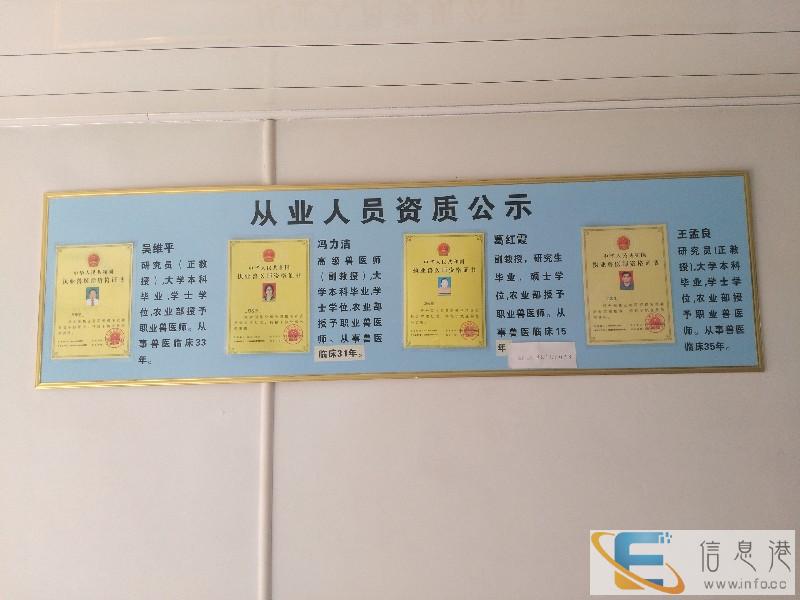 黄岛区博爱宠物医院打狂犬疫苗不收费