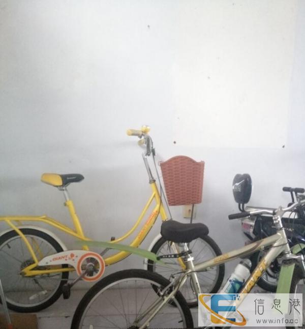 狂甩 一批捷安特