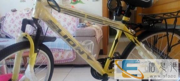 全新山地车320出