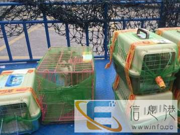 长旺全国宠物托运中心