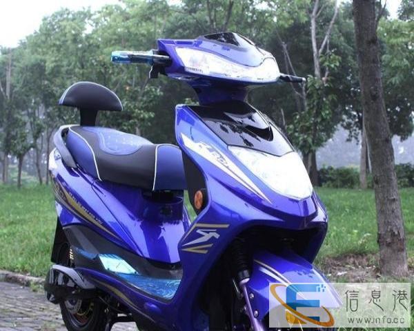 嘎嘎板正杠杠招新款电瓶车