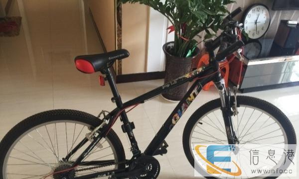 捷安特自行车甩卖