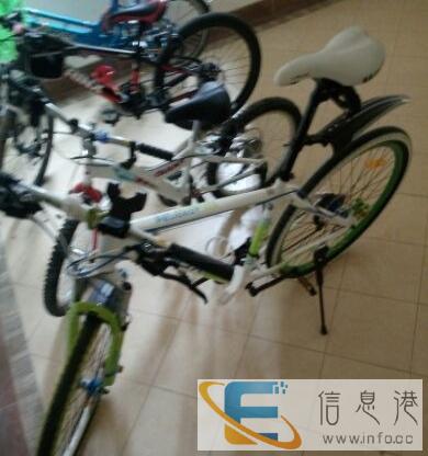 雷克斯山地自行车