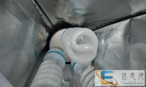 低价转让两个影室闪光灯柔光箱服装人像摄影棚补光灯拍