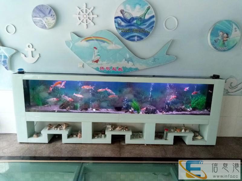 日照市上门清洗鱼缸