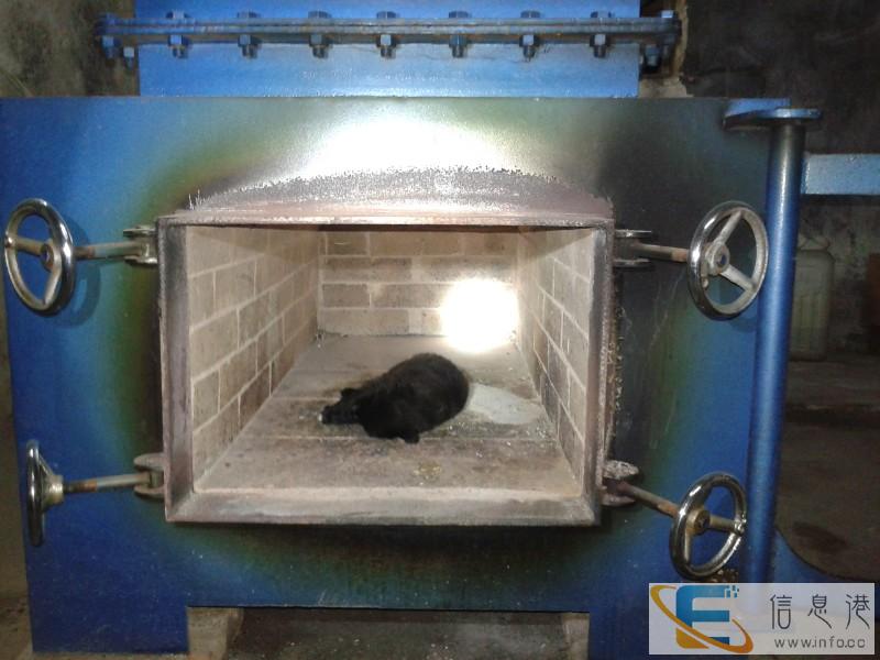 昆山花桥镇宠物殡葬花桥镇动物火化电话动物安乐针服务300元起