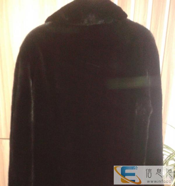男士休闲款貂皮衣服6干就卖