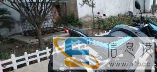 海云车行高价回收出售趴赛，网红鬼火，小忍者，黄龙，大蟒蛇等摩