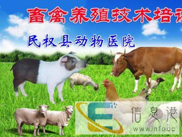 民权县 宠物医院